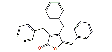 Maculalactone C